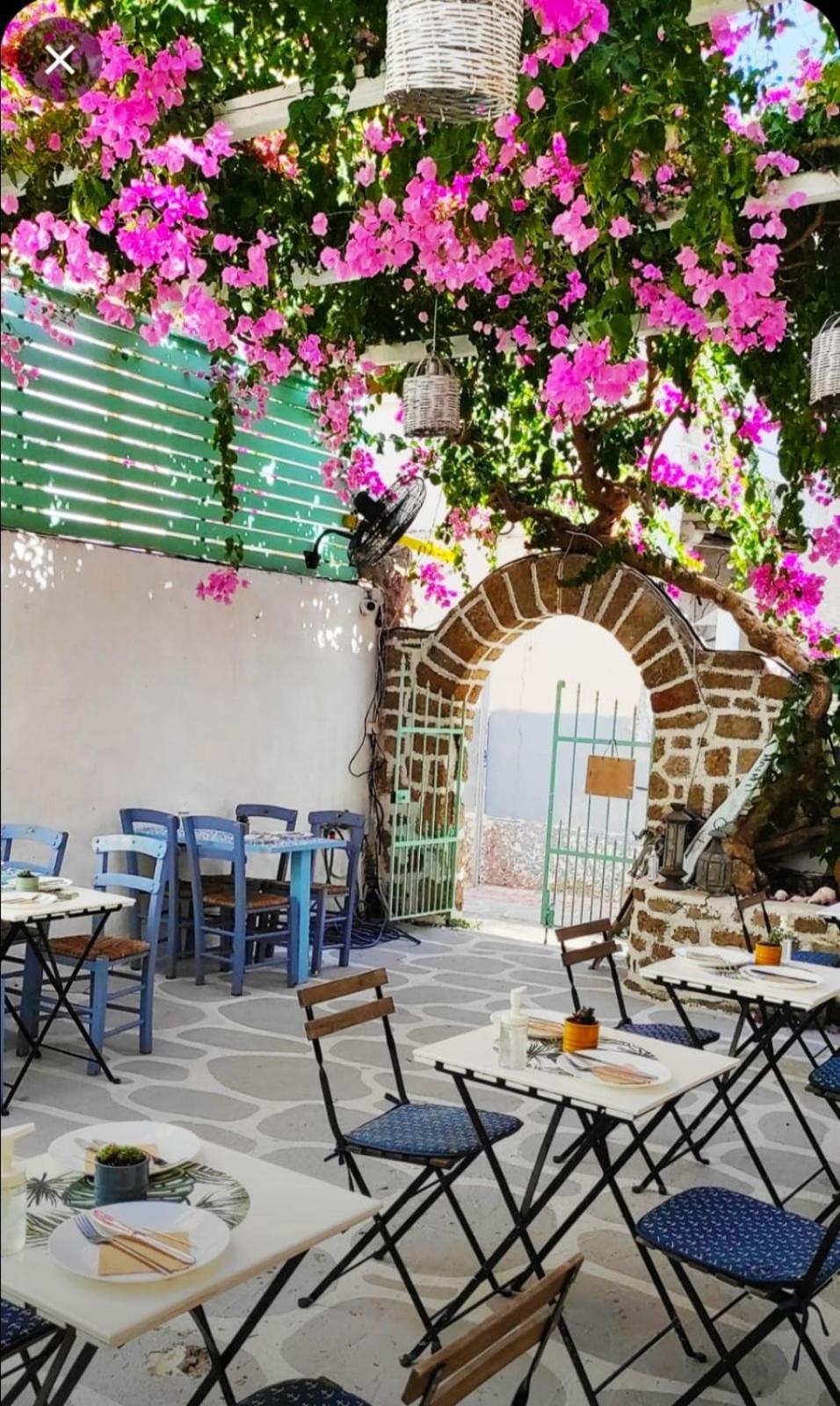Galanopetra Rhodes Greece Otel Rhodes City Dış mekan fotoğraf